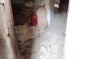 Casa de poble en venda a la España, Fórnols, ref.: TR299924 foto