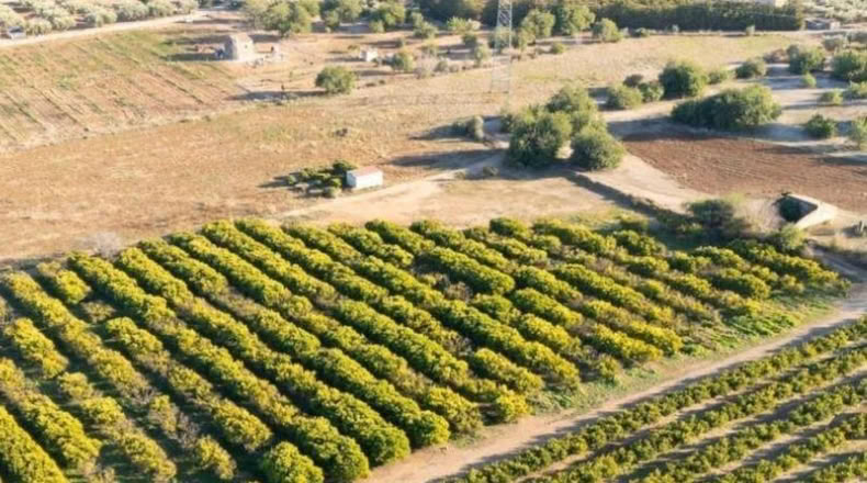 Tarragona - Santa Bàrbara - 21545m2