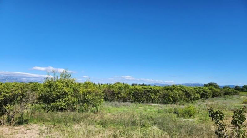 Tarragona - Santa Bàrbara - 21545m2