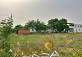 Terreno no urbanizable en venta en la España, Castellón de la Plana, ref: TR131979 foto
