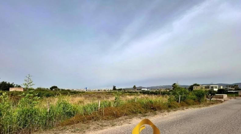 Castellon - Castellón de la Plana - 1400m2