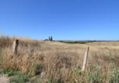 Non-developable land for sale on España, Almenara de Tormes, ref: TR165466 photo