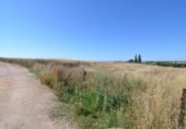 Non-developable land for sale on España, Almenara de Tormes, ref: TR165466 photo