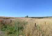 Non-developable land for sale on España, Almenara de Tormes, ref: TR165466 photo