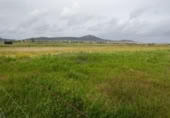 Terreno no urbanizable en venta en la España, Sierra de Fuentes, ref: TR129177 foto