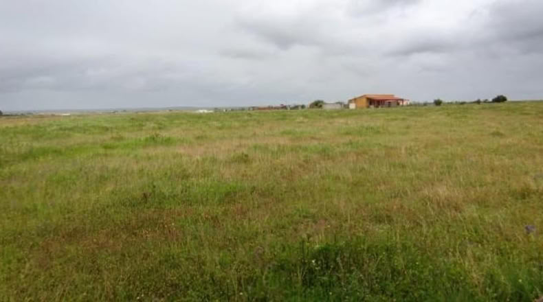 Cáceres - Sierra de Fuentes - 24000m2