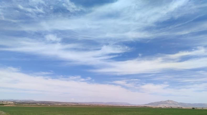 Albacete - Almansa - 55000m2