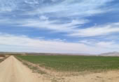 Terreny no urbanitzable en venda a la España, Almansa, ref.: TR129920 foto