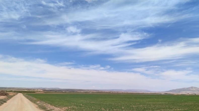 Albacete - Almansa - 55000m2