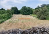Land suitable for development for sale on España, Pazos, ref: TR319347 photo