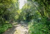 Non-developable land for sale on España, Isla Playa, ref: TR320671 photo