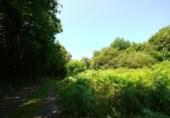 Non-developable land for sale on España, Isla Playa, ref: TR320671 photo