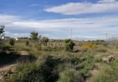 Terreny no urbanitzable en venda a la España, Múrcia, ref.: TR328688 foto