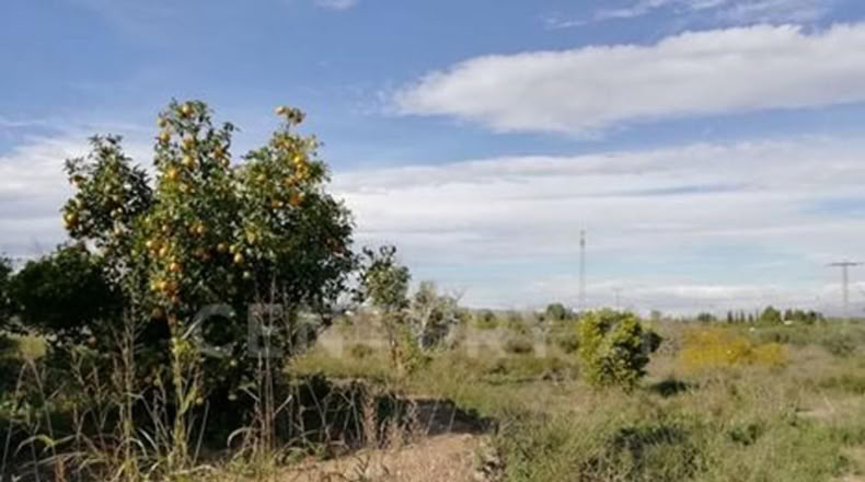 Murcia - Мурсия - 1023m2