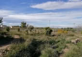 Terreny no urbanitzable en venda a la España, Múrcia, ref.: TR328688 foto