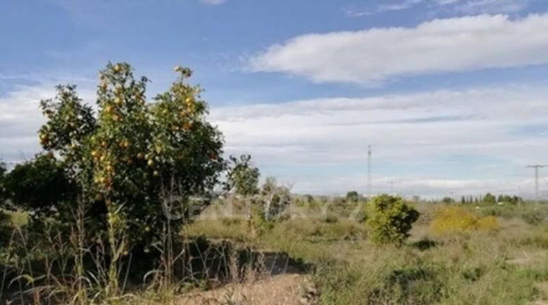 Murcia - Мурсия - 1023m2