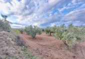 Terreny no urbanitzable en venda a la España, Abrucena, ref.: TR394678 foto