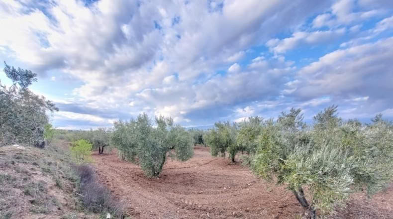 Almeria - Abrucena - 6319m2