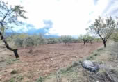 Terreny no urbanitzable en venda a la España, Abrucena, ref.: TR394678 foto