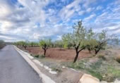 Terreny no urbanitzable en venda a la España, Abrucena, ref.: TR394678 foto