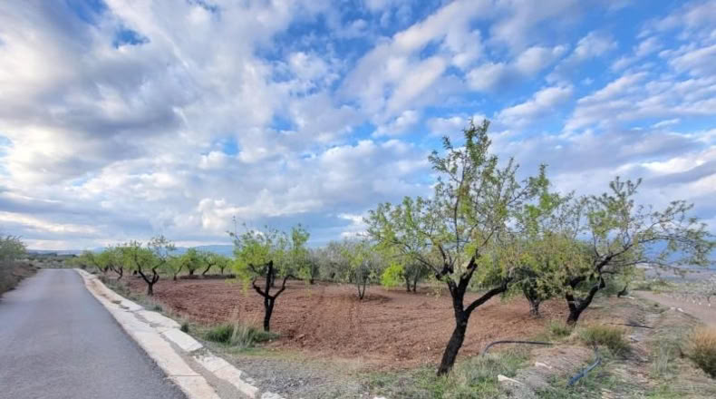 Almeria - Abrucena - 6319m2