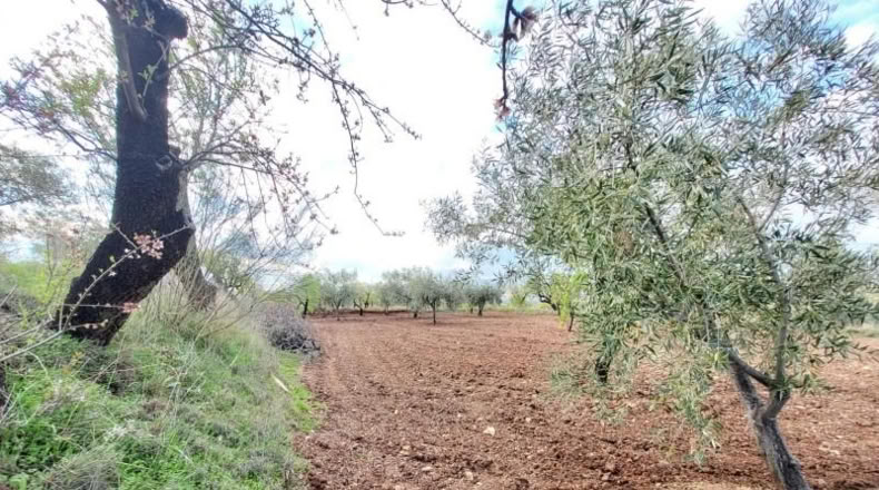 Almeria - Abrucena - 6319m2