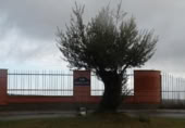 Terreny no urbanitzable en venda a la España, Buenavista, ref.: TR114355 foto