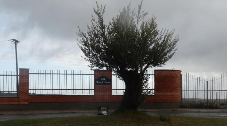 Salamanca - Buenavista - 967m2