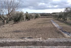 Calasparra 4377&nbsp;m² 