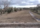 Terreny no urbanitzable en venda a la España, Calasparra, ref.: TR379461 foto