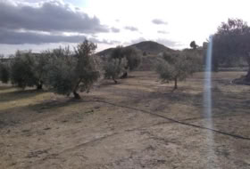 Calasparra 4377&nbsp;m² 