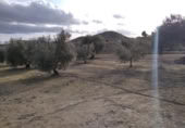 Terreny no urbanitzable en venda a la España, Calasparra, ref.: TR379461 foto
