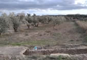 Terreny no urbanitzable en venda a la España, Calasparra, ref.: TR379461 foto