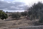 Terreny no urbanitzable en venda a la España, Calasparra, ref.: TR379461 foto