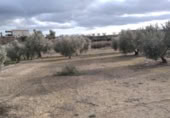 Terreny no urbanitzable en venda a la España, Calasparra, ref.: TR379461 foto