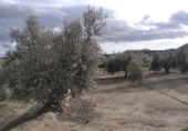 Terreny no urbanitzable en venda a la España, Calasparra, ref.: TR379461 foto