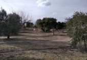 Terreny no urbanitzable en venda a la España, Calasparra, ref.: TR379461 foto