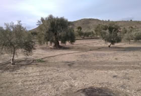 Calasparra 4377&nbsp;m² 