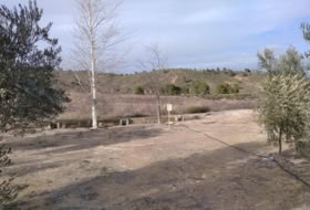 Calasparra 4377&nbsp;m² 