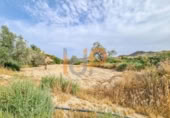 Land suitable for development for sale on España, Huércal-Overa, ref: TR383109 photo