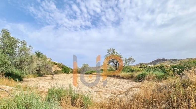 Almeria - Huércal-Overa - 4808m2