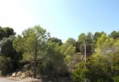 Parcel·la urbanitzable en venda a la España, Calafell, ref.: TR375584 foto
