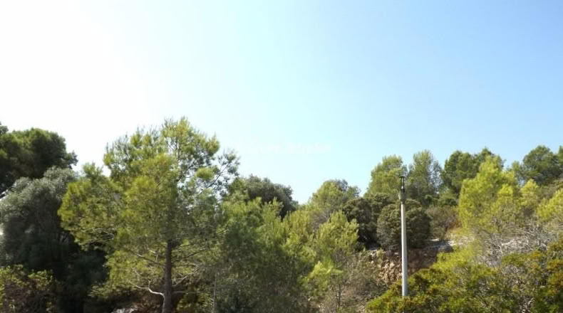 Tarragona - Calafell - 613m2