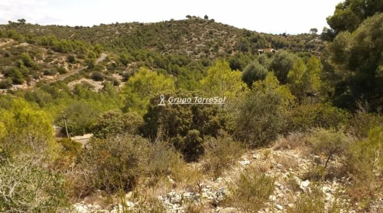 Tarragona - Calafell - 613m2