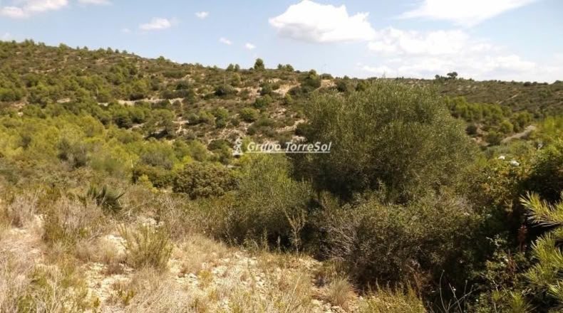 Tarragona - Calafell - 613m2