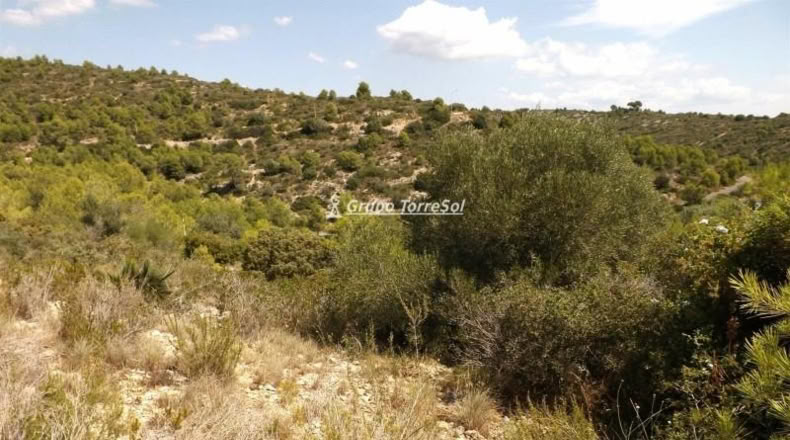 Tarragona - Calafell - 613m2