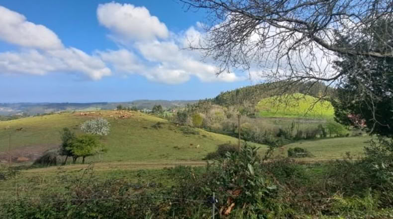 Asturias - Soto del Barco - 56m2