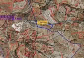 Non-developable land for sale on España, Alcudia de Monteagud, ref: TR380793 photo
