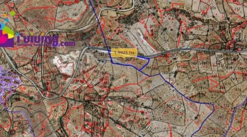 Almería - Alcudia de Monteagud - 20000m2