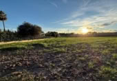 Non-developable land for sale on España, Sant Joan, ref: TR359227 photo